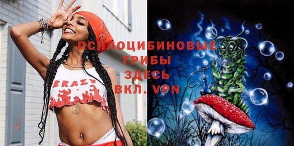 круглые Алзамай