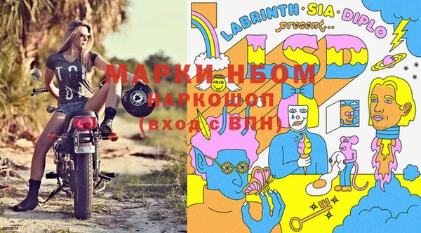 круглые Алзамай
