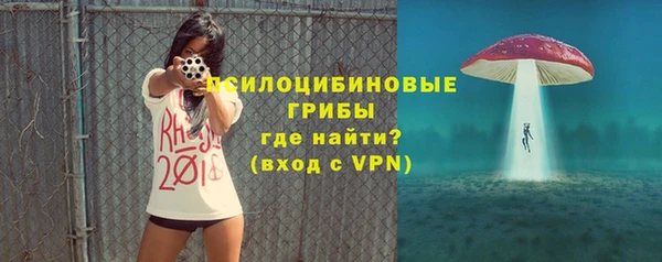 круглые Алзамай
