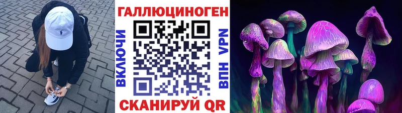 мега tor  Шахты  darknet состав  Псилоцибиновые грибы Magic Shrooms 