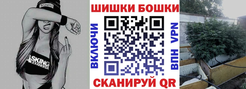 где можно купить наркотик  Шахты  Шишки марихуана VHQ 